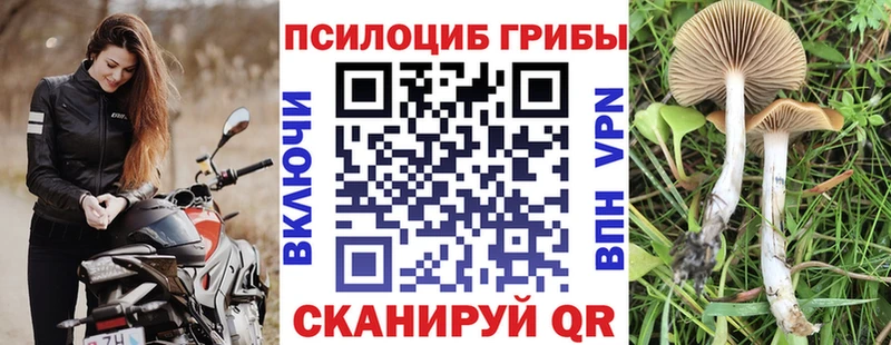 дарк нет формула  Котельники  Псилоцибиновые грибы GOLDEN TEACHER  магазин  наркотиков 
